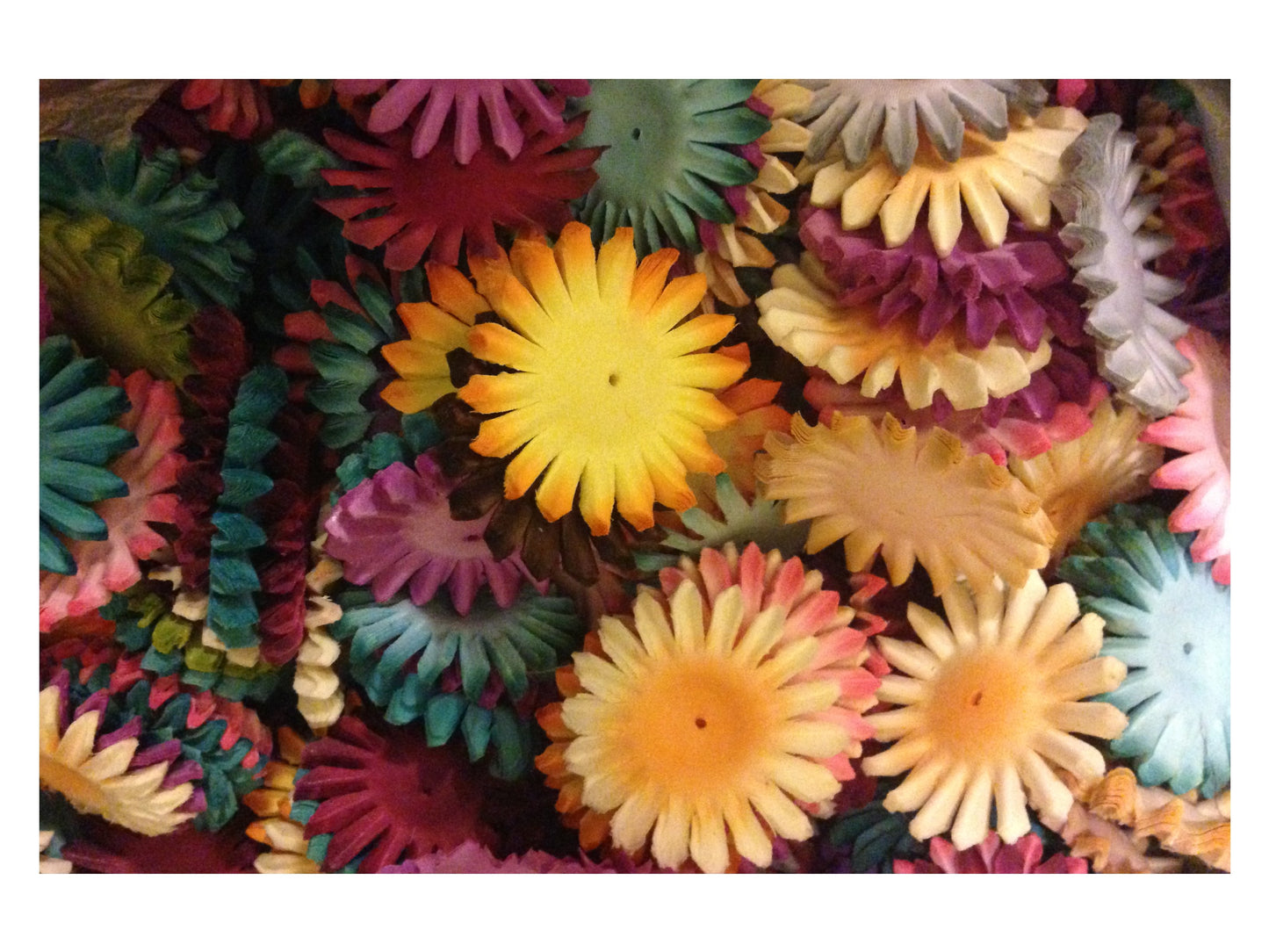 50pcs. Middle Flower Petals for Gerbera Daisies