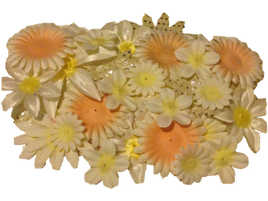 50pcs. Cream Flower Petals