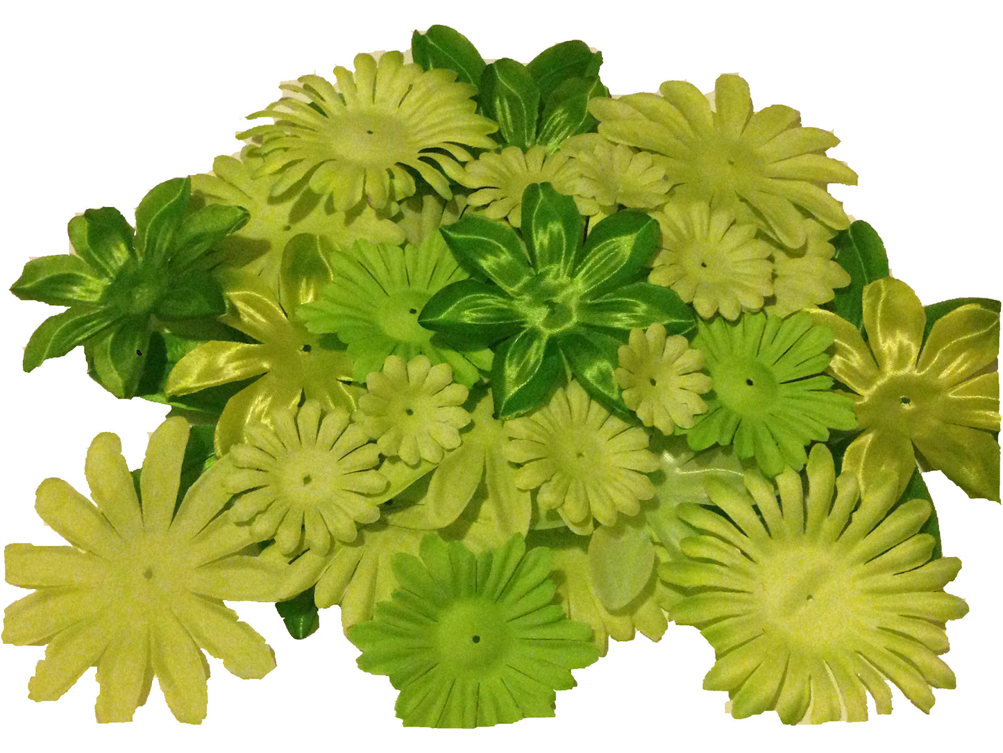 50pcs. Green Flower Petals