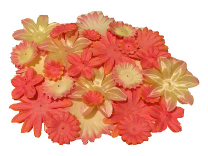 1 POUND of Flower Petals-1200-1600 PETALS-WHOLESALE